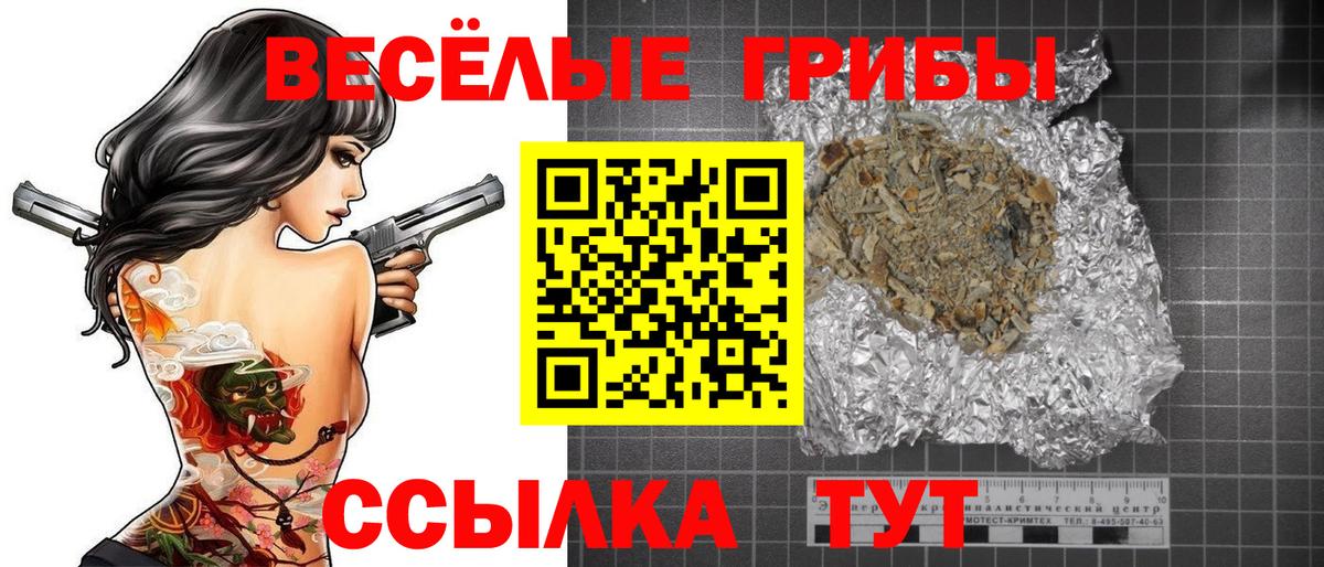 Красноуфимск  Псилоцибиновые грибы Psilocybe  Вход с VPN  Псилоцибиновые грибы Psilocybe 